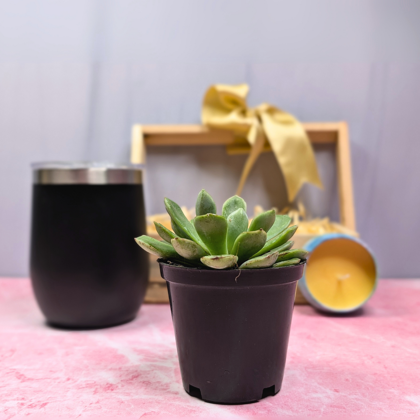 Sip, Scent, and Green Vibes